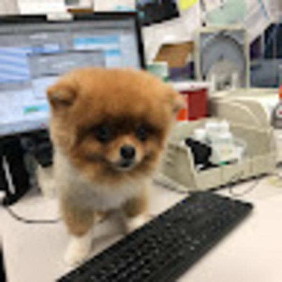 Meet your Posher, Andrea - Picture 1 of 1